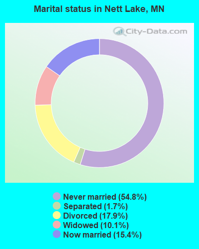 Marital status in Nett Lake, MN