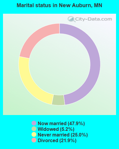 Marital status in New Auburn, MN