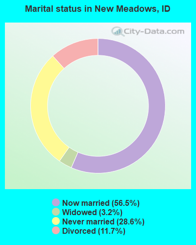Marital status in New Meadows, ID