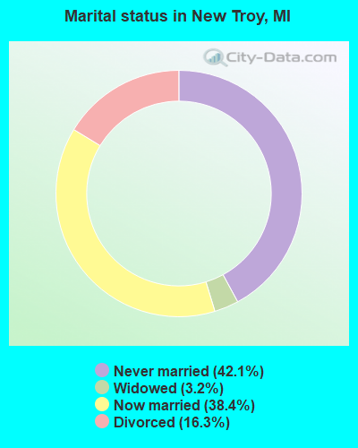 Marital status in New Troy, MI