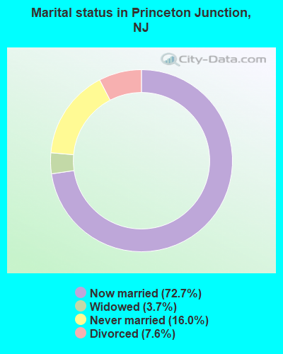 Marital status in Princeton Junction, NJ