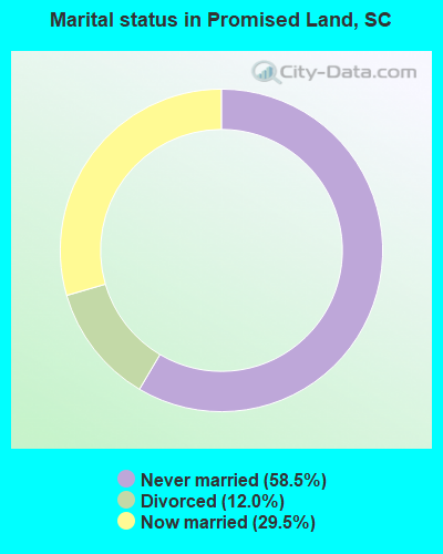 Marital status in Promised Land, SC