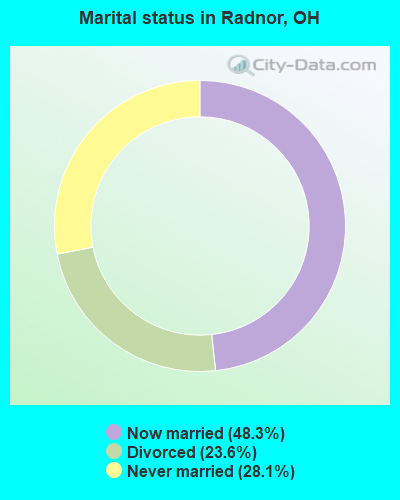 Marital status in Radnor, OH