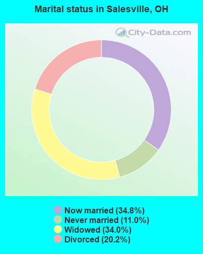 Marital status in Salesville, OH