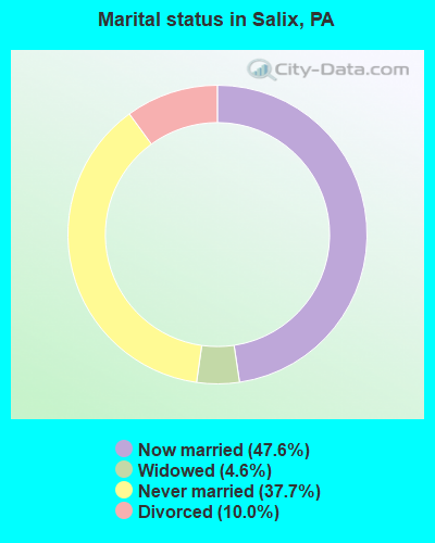 Marital status in Salix, PA