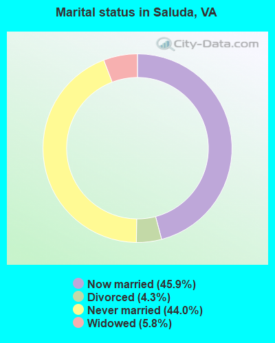 Marital status in Saluda, VA
