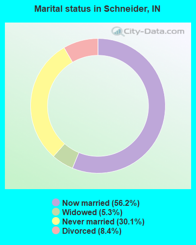 Marital status in Schneider, IN