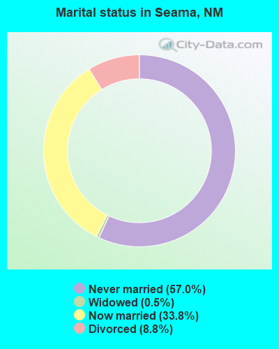 Marital status in Seama, NM