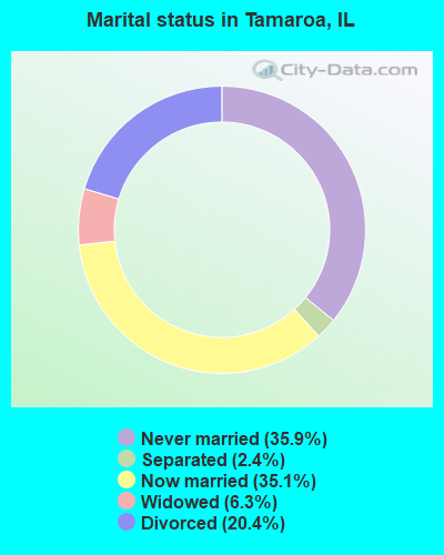 Marital status in Tamaroa, IL