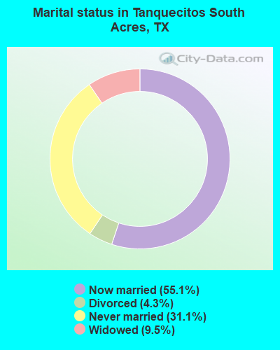 Marital status in Tanquecitos South Acres, TX