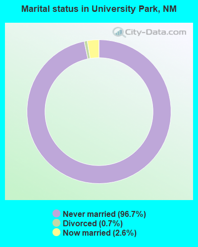 Marital status in University Park, NM
