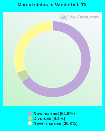 Marital status in Vanderbilt, TX