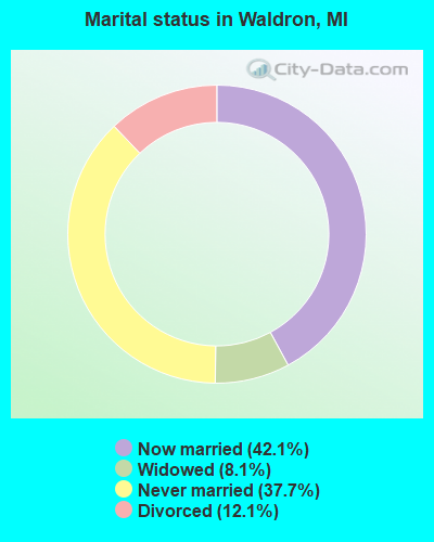 Marital status in Waldron, MI
