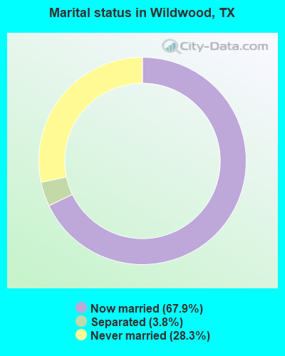 Marital status in Wildwood, TX