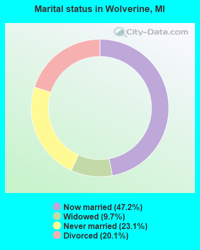 Marital status in Wolverine, MI