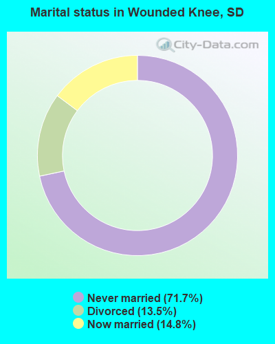 Marital status in Wounded Knee, SD
