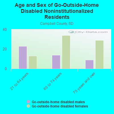 Age and Sex of Go-Outside-Home Disabled Noninstitutionalized Residents