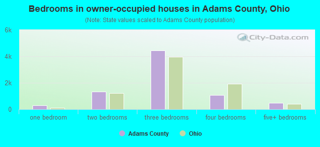 Bedrooms in owner-occupied houses in Adams County, Ohio
