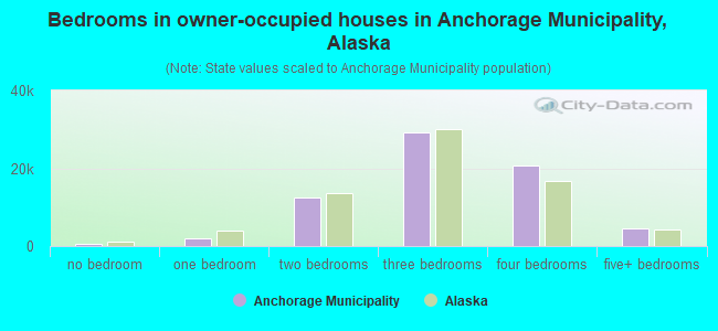 Bedrooms in owner-occupied houses in Anchorage Municipality, Alaska