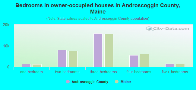 Bedrooms in owner-occupied houses in Androscoggin County, Maine