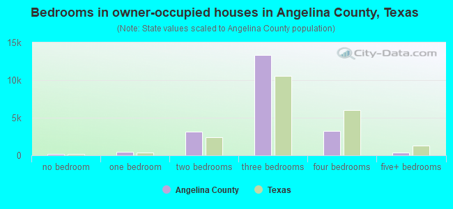 Bedrooms in owner-occupied houses in Angelina County, Texas