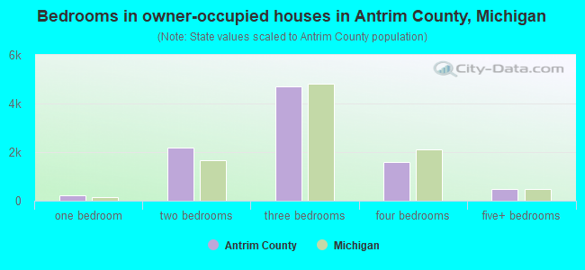 Bedrooms in owner-occupied houses in Antrim County, Michigan