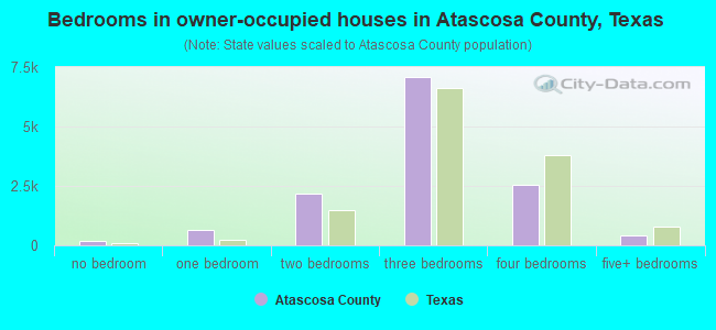 Bedrooms in owner-occupied houses in Atascosa County, Texas