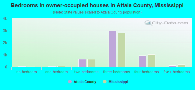 Bedrooms in owner-occupied houses in Attala County, Mississippi