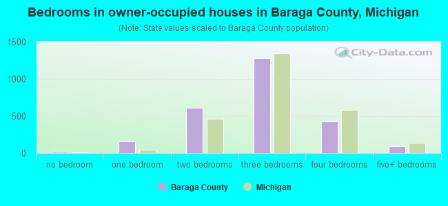 Bedrooms in owner-occupied houses in Baraga County, Michigan