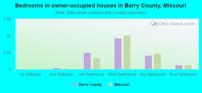 Bedrooms in owner-occupied houses in Barry County, Missouri