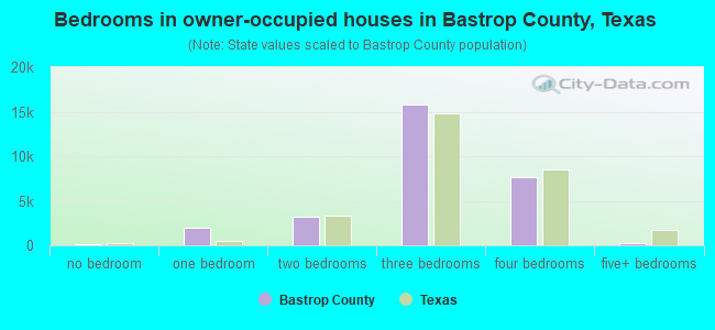 Bedrooms in owner-occupied houses in Bastrop County, Texas