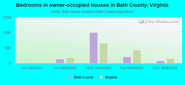 Bedrooms in owner-occupied houses in Bath County, Virginia
