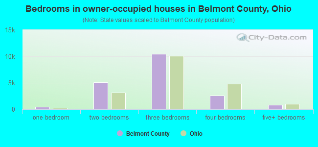 Bedrooms in owner-occupied houses in Belmont County, Ohio