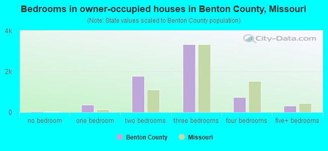 Bedrooms in owner-occupied houses in Benton County, Missouri
