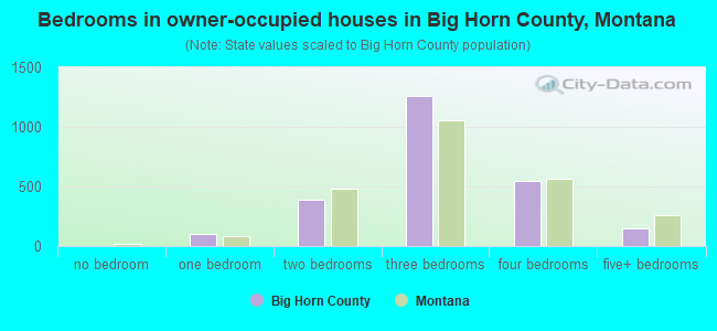 Bedrooms in owner-occupied houses in Big Horn County, Montana