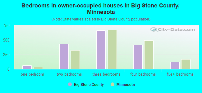 Bedrooms in owner-occupied houses in Big Stone County, Minnesota