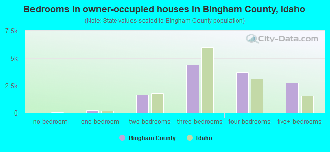 Bedrooms in owner-occupied houses in Bingham County, Idaho