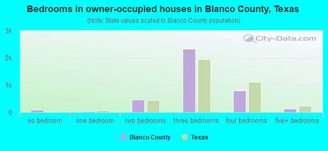 Bedrooms in owner-occupied houses in Blanco County, Texas