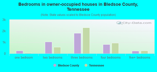 Bedrooms in owner-occupied houses in Bledsoe County, Tennessee