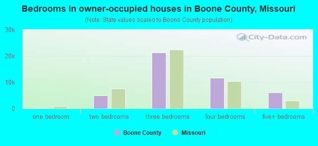Bedrooms in owner-occupied houses in Boone County, Missouri
