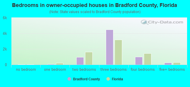 Bedrooms in owner-occupied houses in Bradford County, Florida