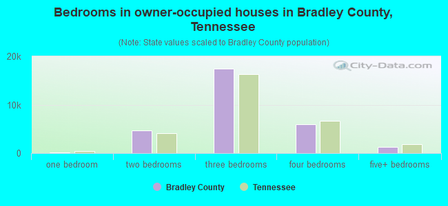 Bedrooms in owner-occupied houses in Bradley County, Tennessee