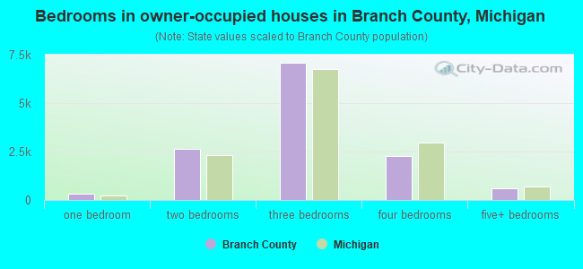 Bedrooms in owner-occupied houses in Branch County, Michigan