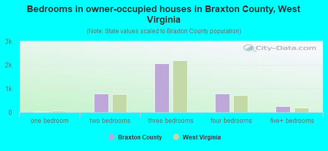 Bedrooms in owner-occupied houses in Braxton County, West Virginia