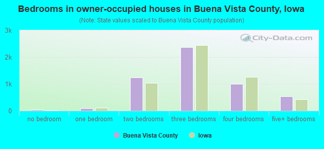 Bedrooms in owner-occupied houses in Buena Vista County, Iowa