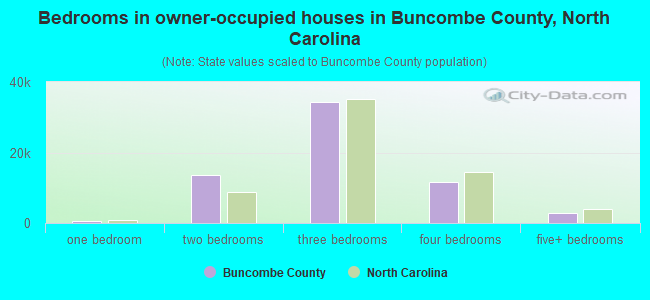 Bedrooms in owner-occupied houses in Buncombe County, North Carolina