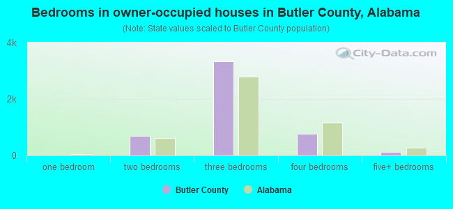 Bedrooms in owner-occupied houses in Butler County, Alabama
