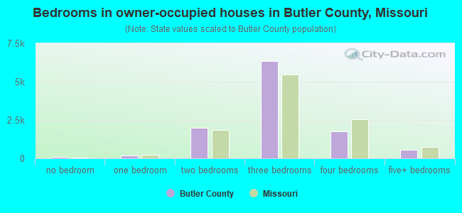 Bedrooms in owner-occupied houses in Butler County, Missouri