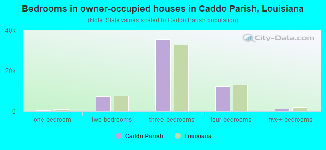 Bedrooms in owner-occupied houses in Caddo Parish, Louisiana