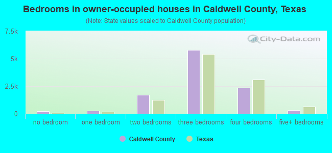 Bedrooms in owner-occupied houses in Caldwell County, Texas